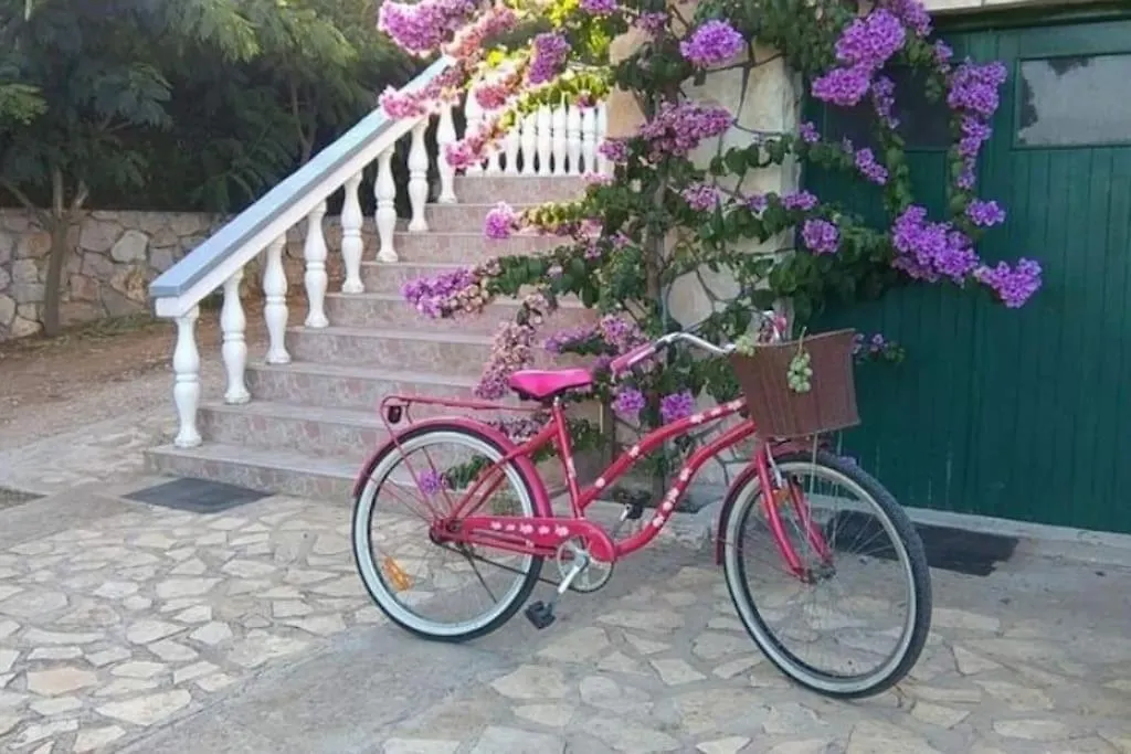 Apartment Dragica Pasman