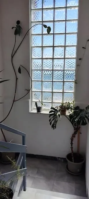 Apartment Dragica Pasman